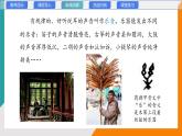 3.2 探究樂音的特性(教學課件）——初中物理教科版（2024）八年級上冊