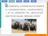 3.4 聲的應用(教學課件）——初中物理教科版（2024）八年級上冊