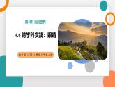 4.6 跨學科實踐：眼睛(教學課件）——初中物理教科版（2024）八年級上冊