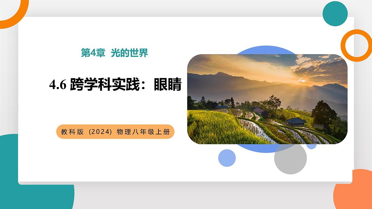 4.6 跨学科实践：眼睛(教学课件）——初中物理教科版（2024）八年级上册第1页