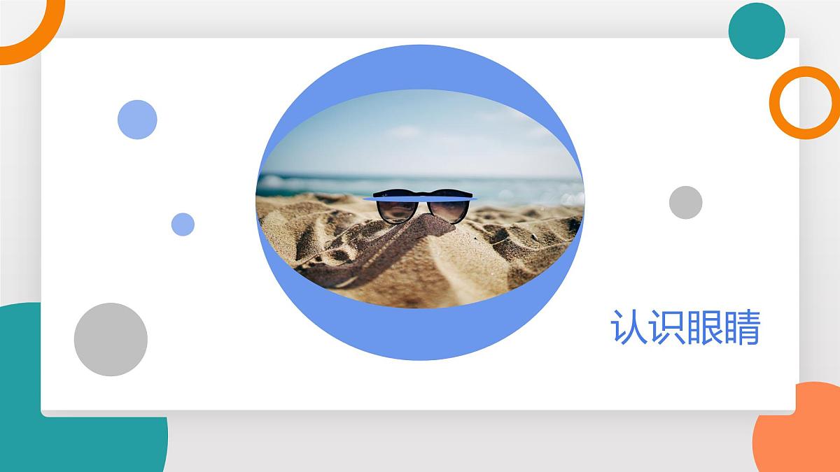 4.6 跨学科实践：眼睛(教学课件）——初中物理教科版（2024）八年级上册第4页