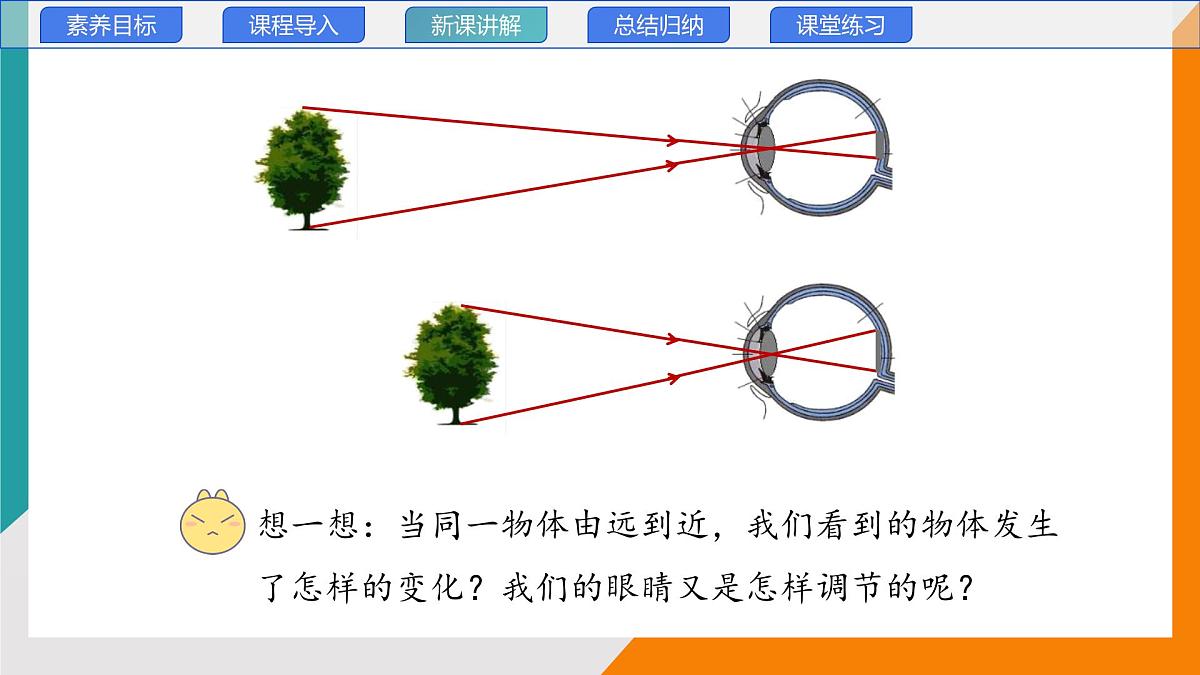 4.6 跨学科实践：眼睛(教学课件）——初中物理教科版（2024）八年级上册第7页