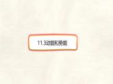 11.3 動能和勢能-課件-人教版（2024）初中物理八年級下冊