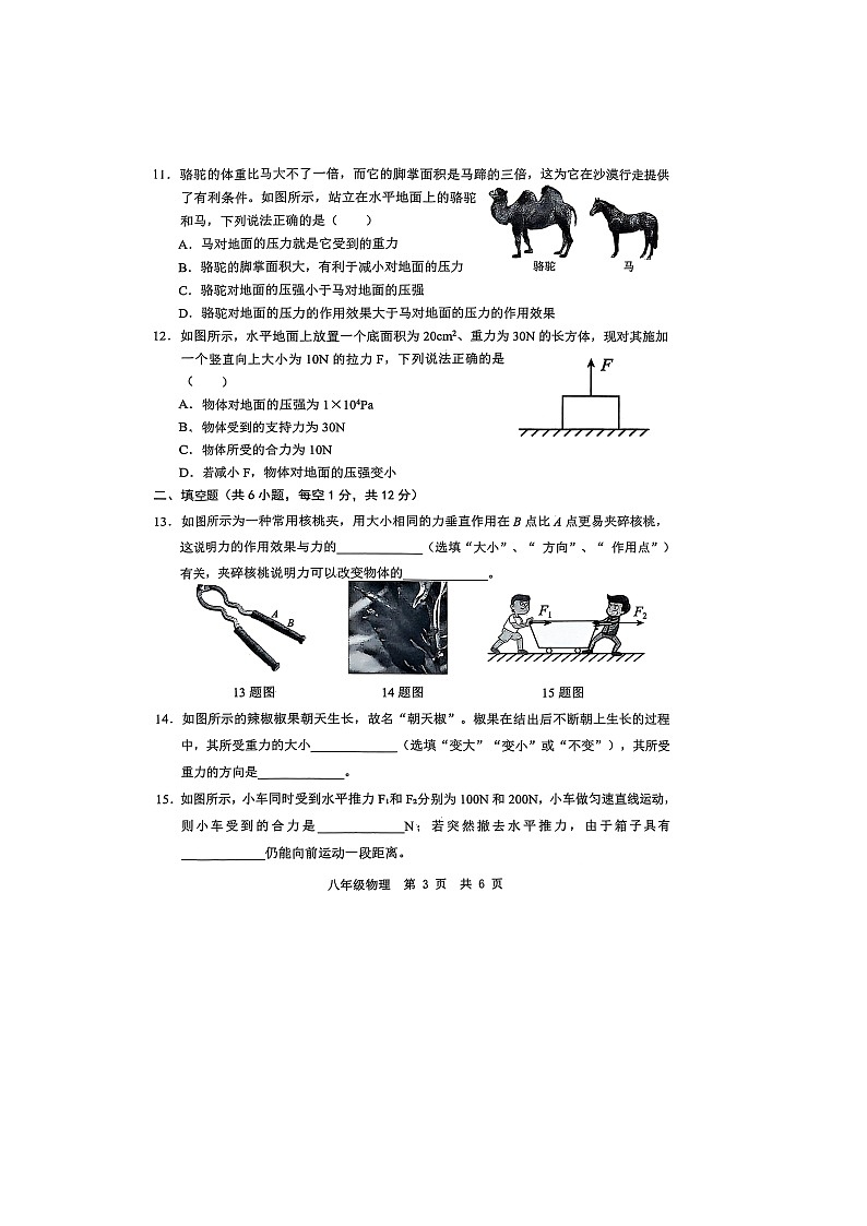 山东省菏泽市菏泽经济技术开发区2024-2025学年八年级下学期3月月考物理试题第3页