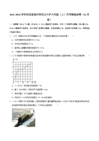 河北省沧州市任丘六中2023-2024学年八年级上学期月考物理试卷（12月份）