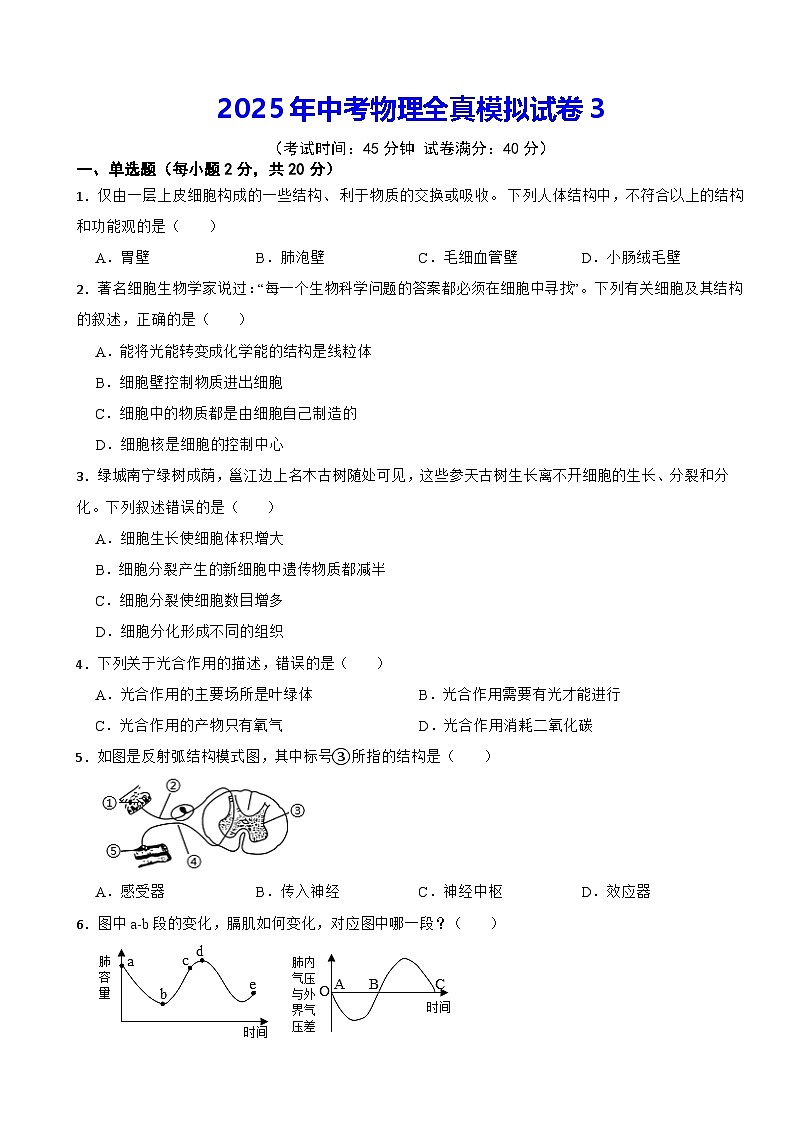2025年中考物理全真模拟试卷3（含答案解析）第1页