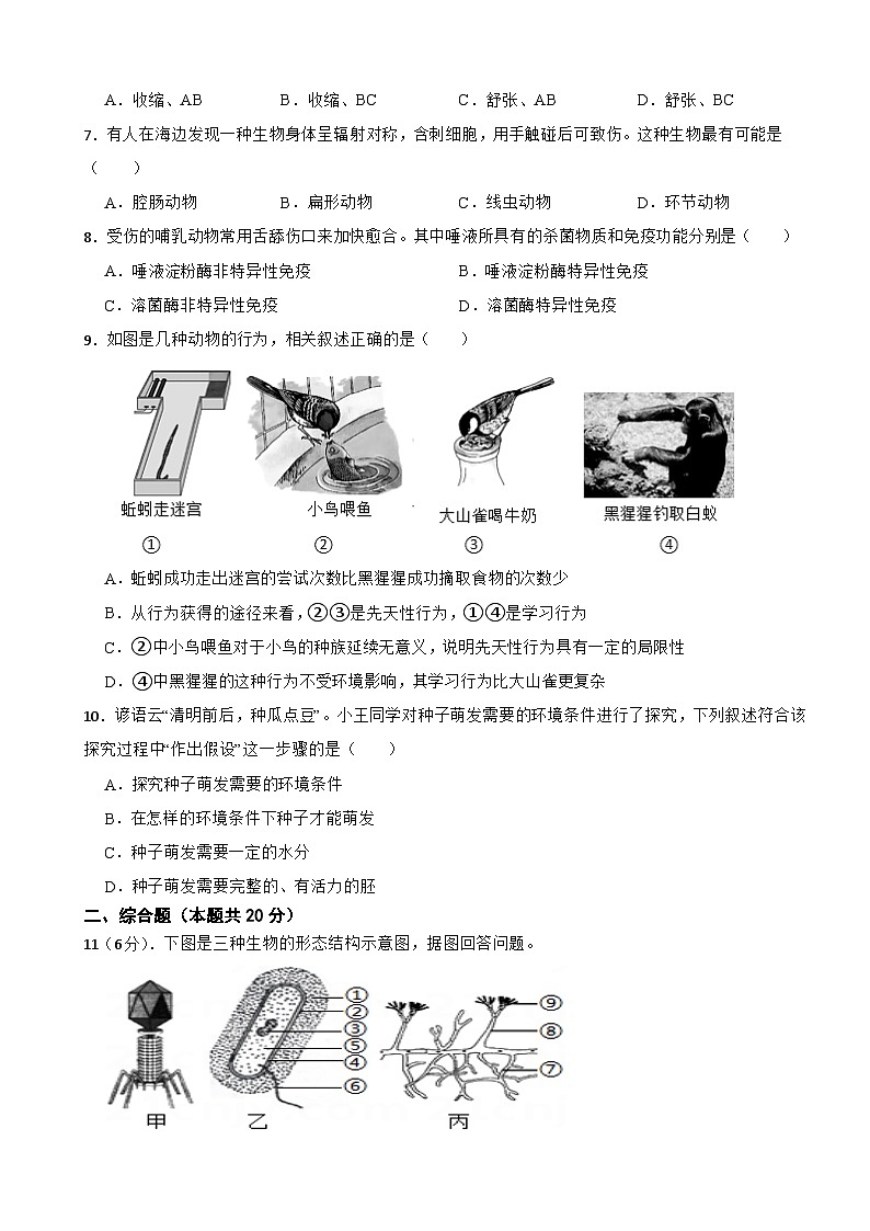 2025年中考物理全真模拟试卷3（含答案解析）第2页