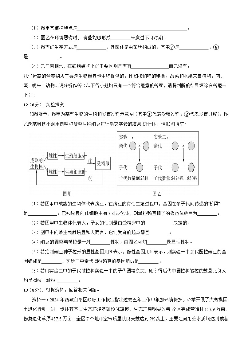 2025年中考物理全真模拟试卷3（含答案解析）第3页