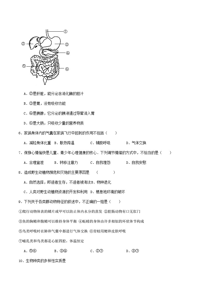 2025年中考物理全真模拟试卷2（含答案解析）第2页