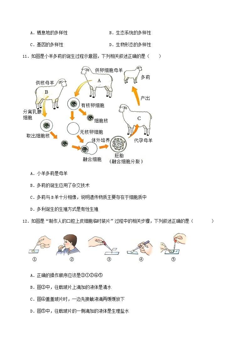 2025年中考物理全真模拟试卷2（含答案解析）第3页