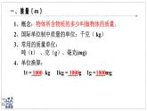 2024-2025學年蘇科版物理八年級下冊 6.1 質(zhì)量及其測量  課件  (1)