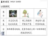 2024-2025學年蘇科版物理八年級下冊 7.2 重力 力的示意圖  課件