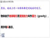 2024-2025學年蘇科版物理八年級下冊 7.2 重力 力的示意圖  課件 (1)