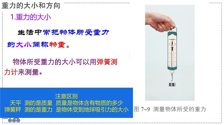 2024-2025学年苏科版物理八年级下册 7.2 重力 力的示意图  课件 (1)第5页