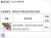 2024-2025學(xué)年蘇科版物理八年級(jí)下冊(cè) 8.1 二力平衡 課件 (1)