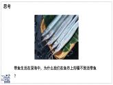 2024-2025學(xué)年蘇科版物理八年級下冊 9.2 液體的壓強 課件