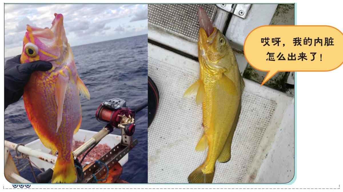 2024-2025学年苏科版物理八年级下册 9.2 液体压强 课件第2页