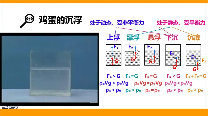 2024-2025学年苏科版物理八年级下册 9.5 物体的浮与沉 课件 (2)第3页