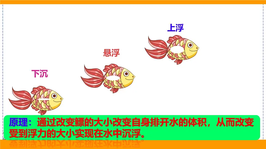 2024-2025学年苏科版物理八年级下册 9.5 物体的浮与沉 课件 (2)第4页