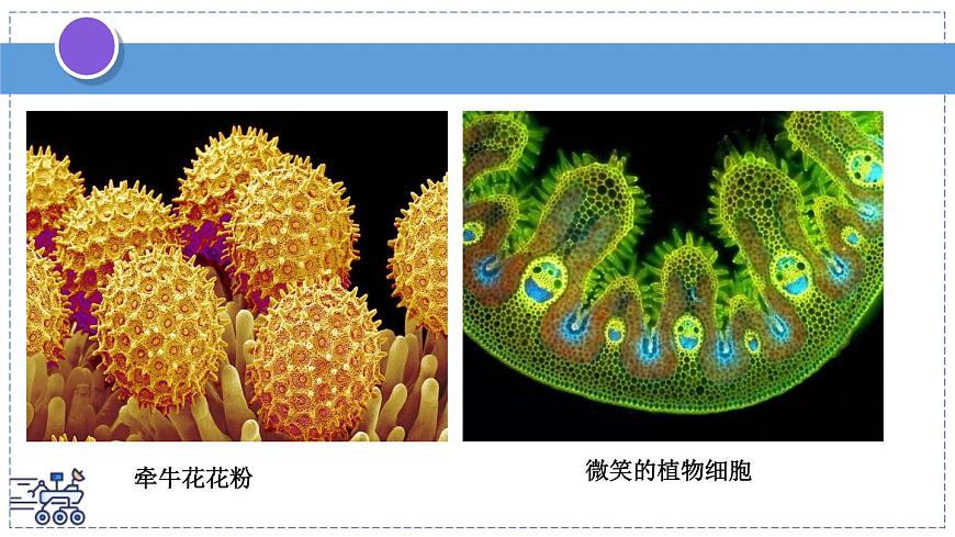 2024-2025学年苏科版物理八年级下册 10.1 走进分子世界 课件 (1)第5页