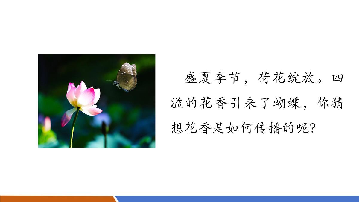 【新教材核心素养】人教版物理九年级全册13.2《分子动理论的初步知识》教学课件第4页