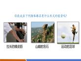 【新教材核心素養(yǎng)】人教版物理九年級(jí)全冊(cè)14.1《能量的轉(zhuǎn)化與守恒》教學(xué)課件