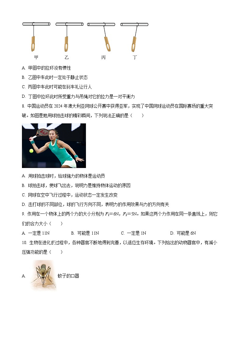 福建省泉州市丰泽区2023-2024学年八年级下学期期末考试物理试题（原卷版）第3页