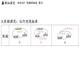 3.2 電路（課件）2025-2026學(xué)年教科版九年級物理上冊