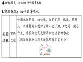 4.4 電阻（課件）2025-2026學(xué)年教科版九年級物理上冊1