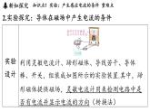 8.1 電磁感應(yīng)現(xiàn)象（課件）2025-2026學(xué)年教科版九年級(jí)物理上冊(cè)