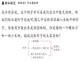 11.1 杠桿（課件）2025-2026學(xué)年蘇科版九年級(jí)物理全冊(cè)001