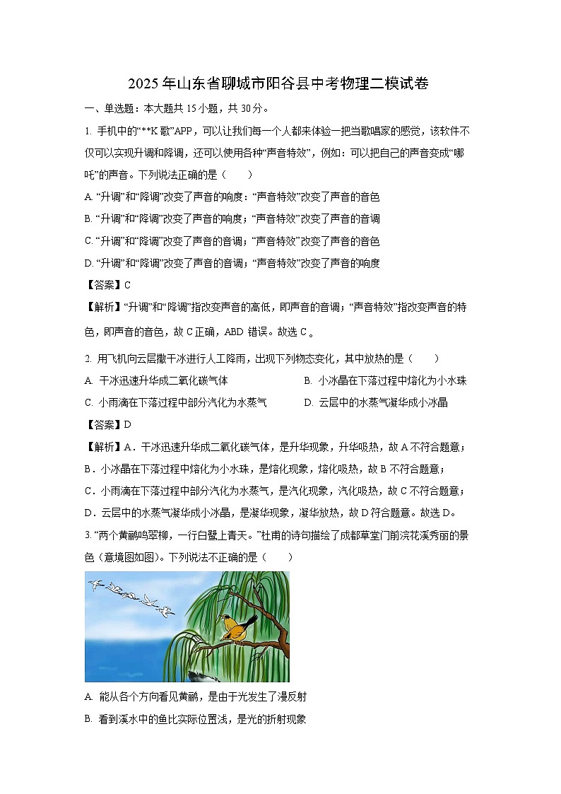 2025年山东省聊城市阳谷县中考二模物理试卷（解析版）第1页