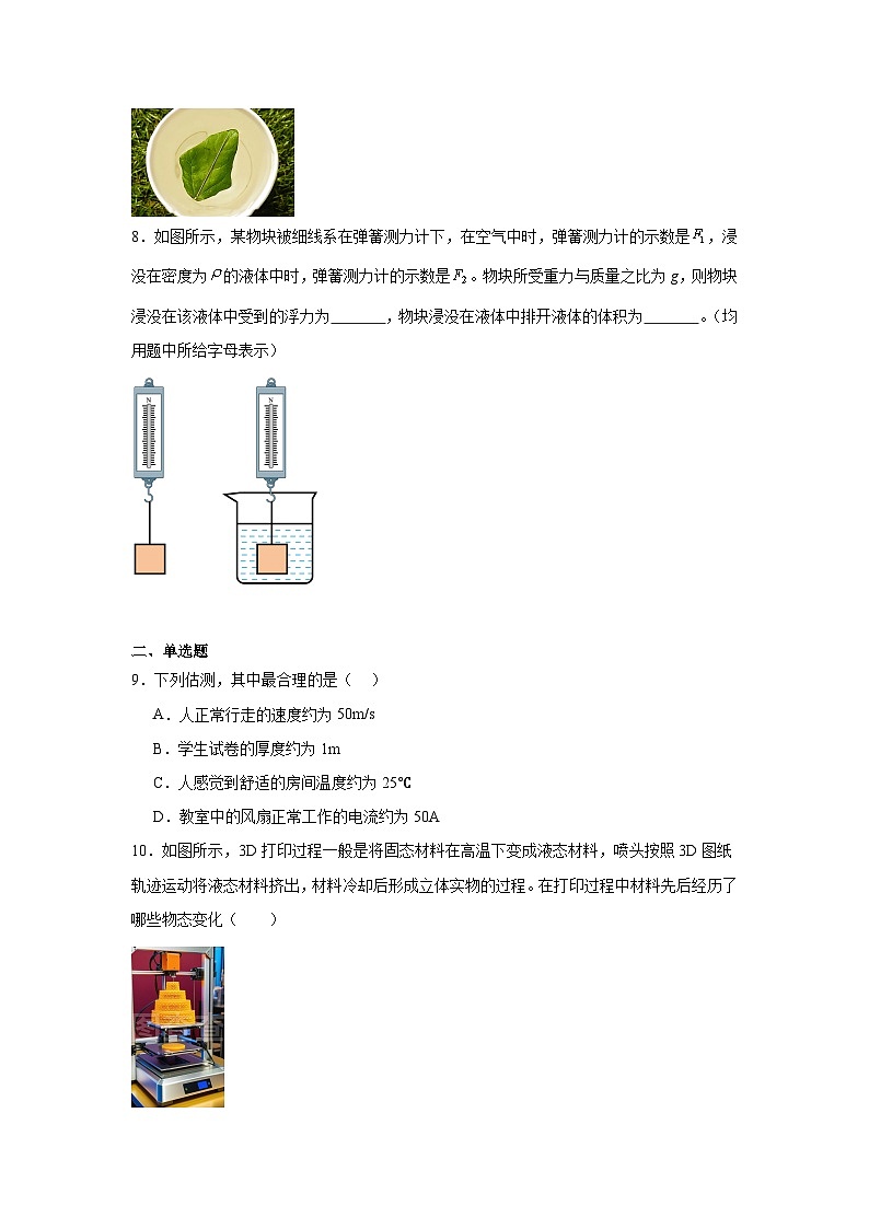 2025年江西省九江市瑞昌市中考三模物理试题（附答案解析）第2页