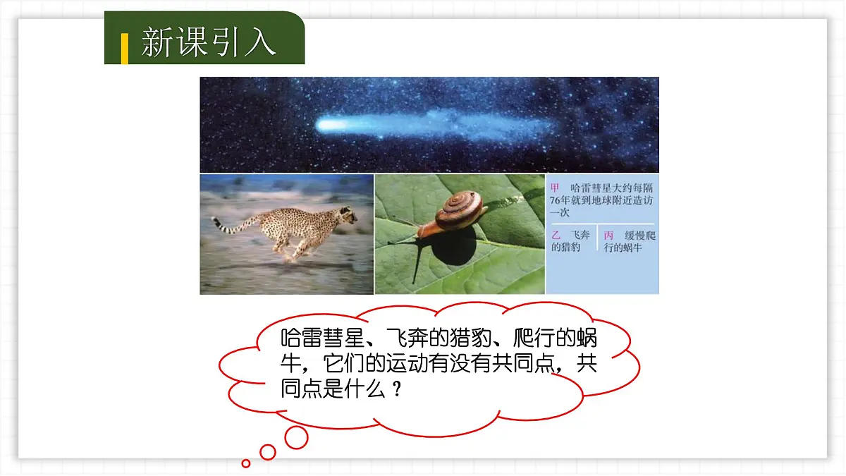 人教版物理（2024）八年级上册 1.2 运动的描述 课件第3页