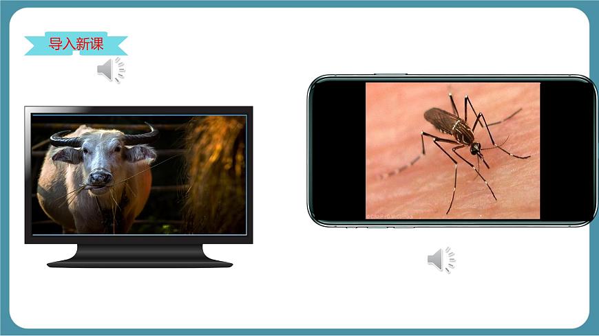 人教版物理（2024）八年级上册 2.2 声音的特性 课件第3页