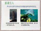 人教版物理（2024）八年級上冊 2.3 聲的利用 課件