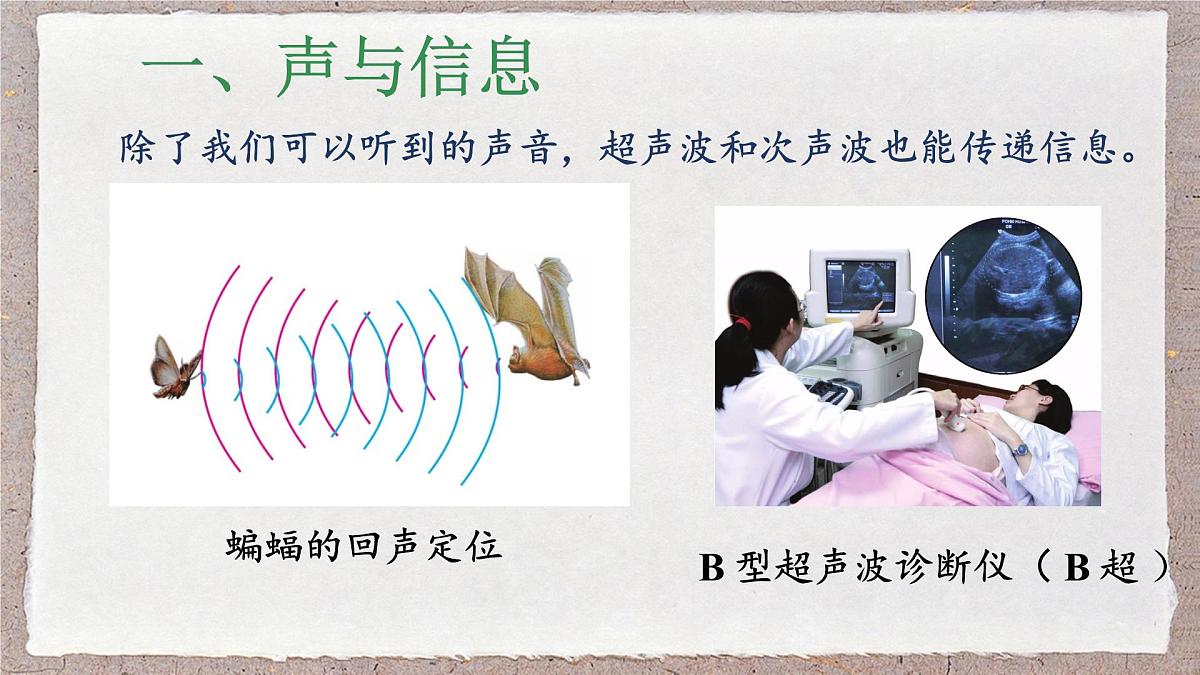 人教版物理（2024）八年级上册 2.3 声的利用 课件第6页