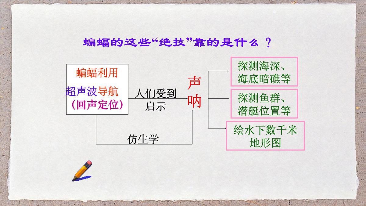 人教版物理（2024）八年级上册 2.3 声的利用 课件第8页