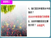 人教版物理（2024）八年級(jí)上冊(cè) 4.4 光的折射 課件 初中