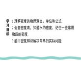 人教版物理（2024）八年級(jí)上冊(cè) 6.2 密度 課件 初中
