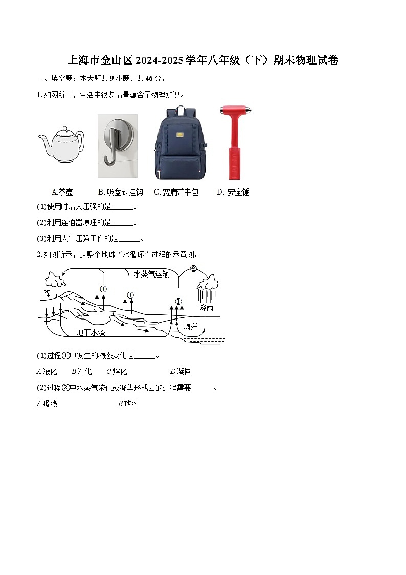 上海市金山区2024-2025学年八年级（下）期末物理试卷第1页