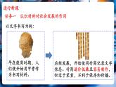 【新教材核心素養(yǎng)】北師大版物理八年級(jí)下冊(cè)6.4《探索新材料》（教學(xué)課件+教學(xué)設(shè)計(jì)）