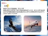 【新教材核心素養(yǎng)】北師大版物理八年級下冊8.5《流體壓強與流速關系》（教學課件+教學設計）