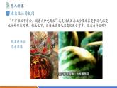 【新教材新課標(biāo)】北師大版物理九年級(jí)全冊(cè)第10章第3節(jié)《比熱容》教學(xué)課件+分層作業(yè)（含答案）