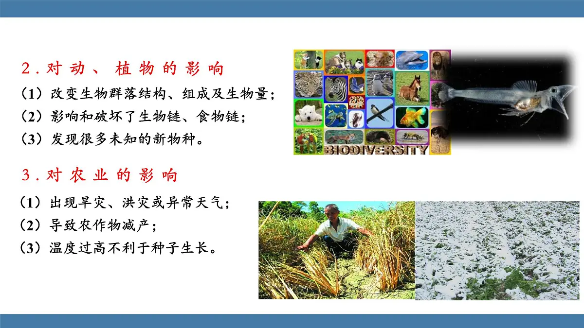 2025-2026学年度沪科版物理九年级全一册13.5 跨学科：全球变暖与水资源危机(课件）第6页