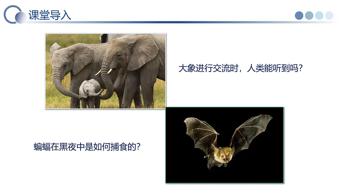 四 人耳听不到的声音（教学课件）-2025-2026学年八年级物理上册（苏科版2024）第4页
