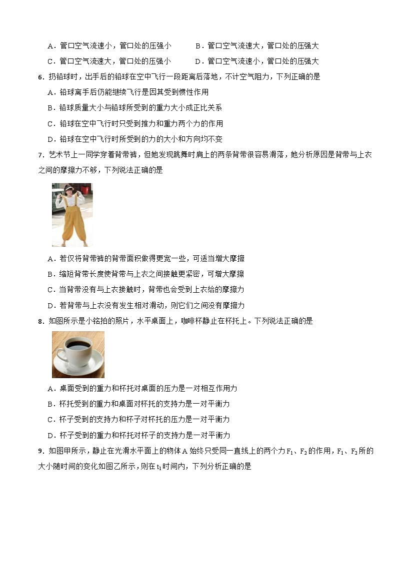 四川省成都市领川外国语2024-2025学年八年级下学期期中物理试题第2页