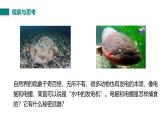 第十一章第五節(jié) 電壓及其測量（課件）2025-2026學(xué)年北師大版九年級物理全冊