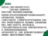 14.4《跨学科实践：制作简易热机模型》精品课件+教学设计+同步练习题（含参考答案）