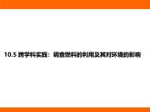 2025-2026學(xué)年度北師大版物理九年級上冊10.5 跨學(xué)科實(shí)踐：調(diào)查燃料的利用及其對環(huán)境的影響 課件